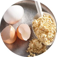 Dried whole egg powder meal ready to consume